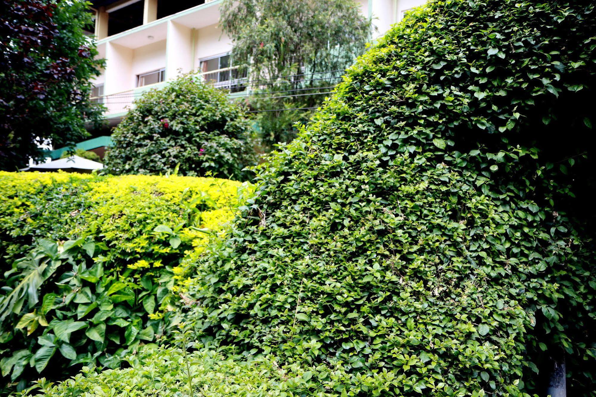 Equator Hotel Arusha Kültér fotó